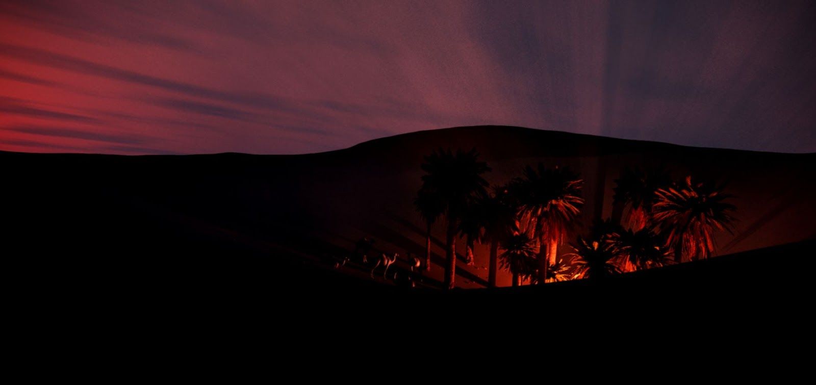 Arabian Desert Night Wallpapers