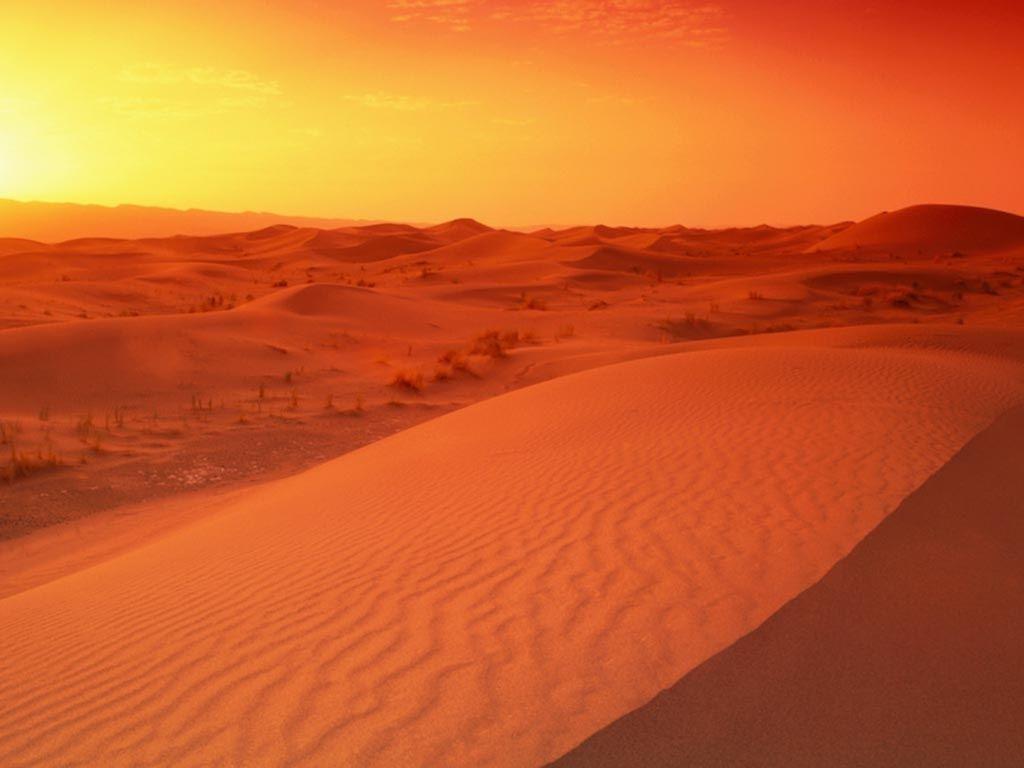 Arabian Desert Night Wallpapers