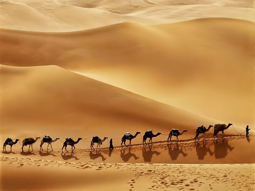 Arabian Desert Pictures Wallpapers