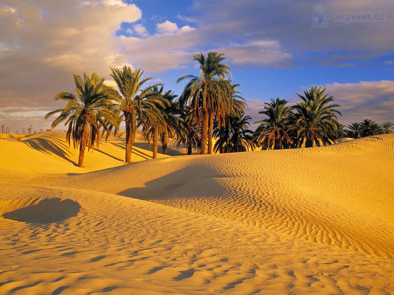 Arabian Desert Pictures Wallpapers