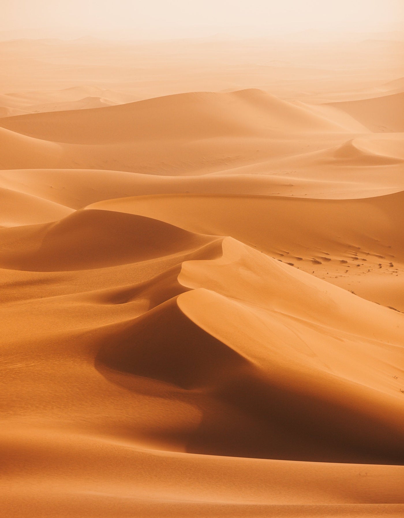 Arabian Desert Pictures Wallpapers