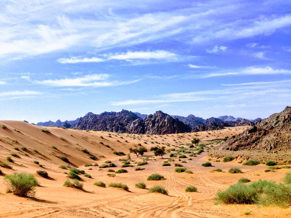 Arabian Desert Pictures Wallpapers