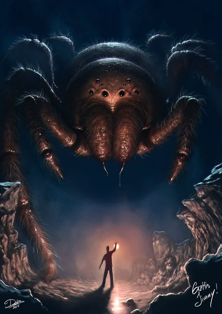 Arachnophobia Dark Movie Hd Art Wallpapers