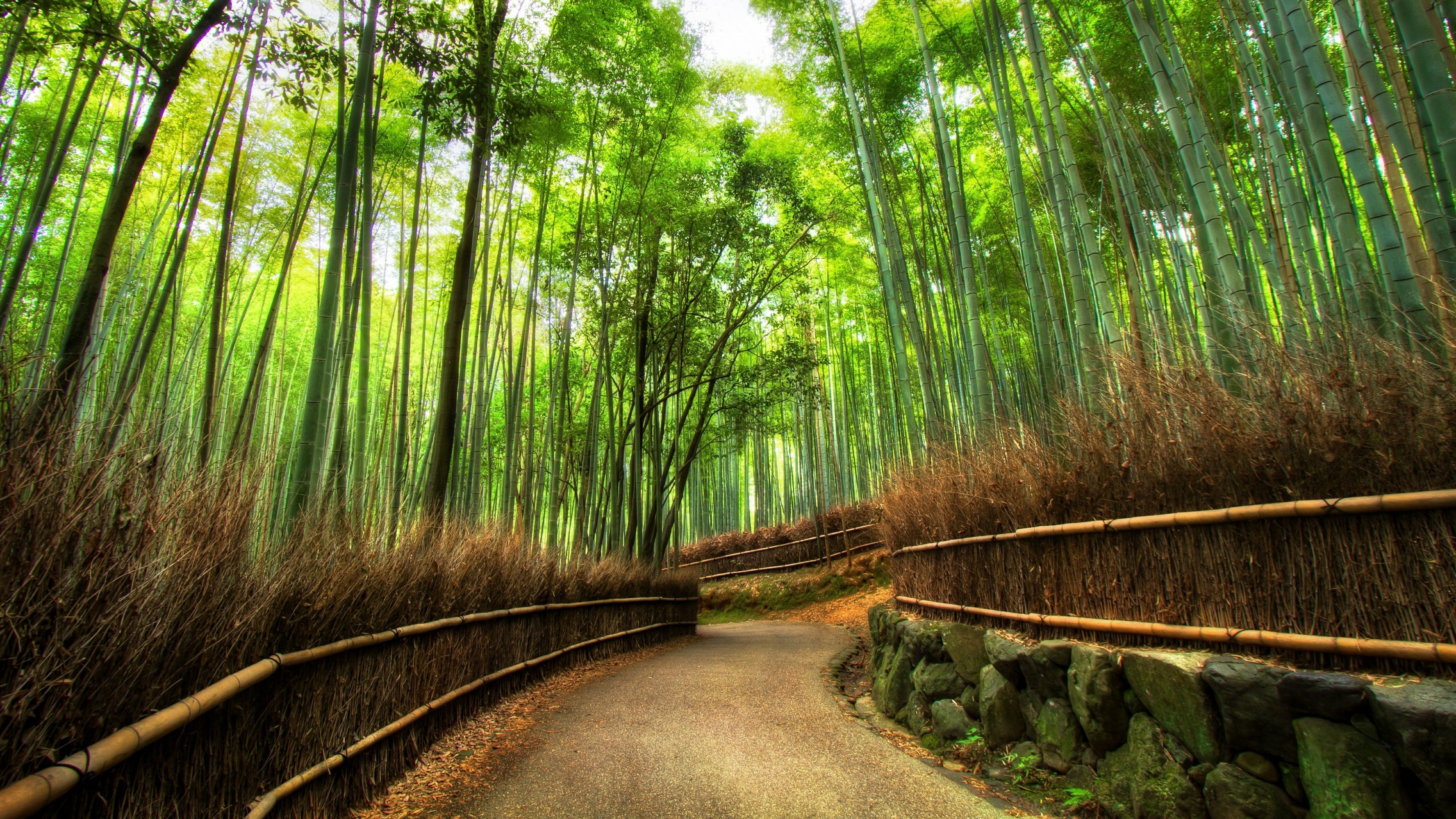 Arashiyama Wallpapers