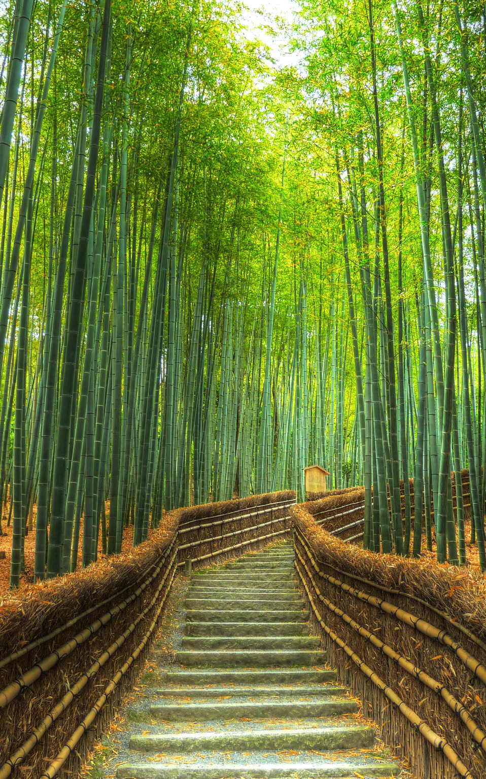 Arashiyama Wallpapers