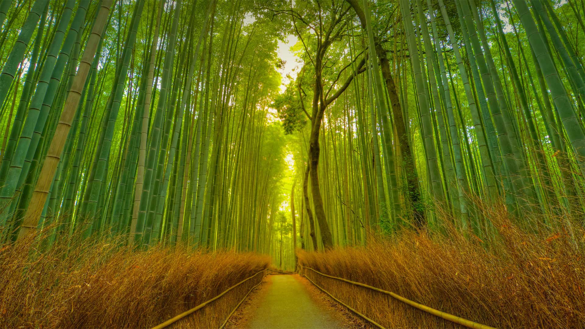 Arashiyama Wallpapers