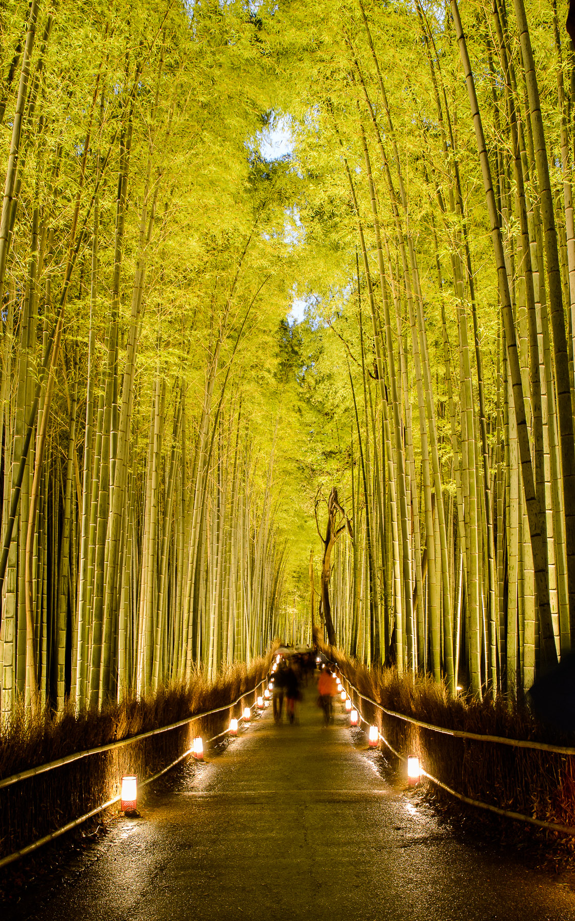 Arashiyama Wallpapers