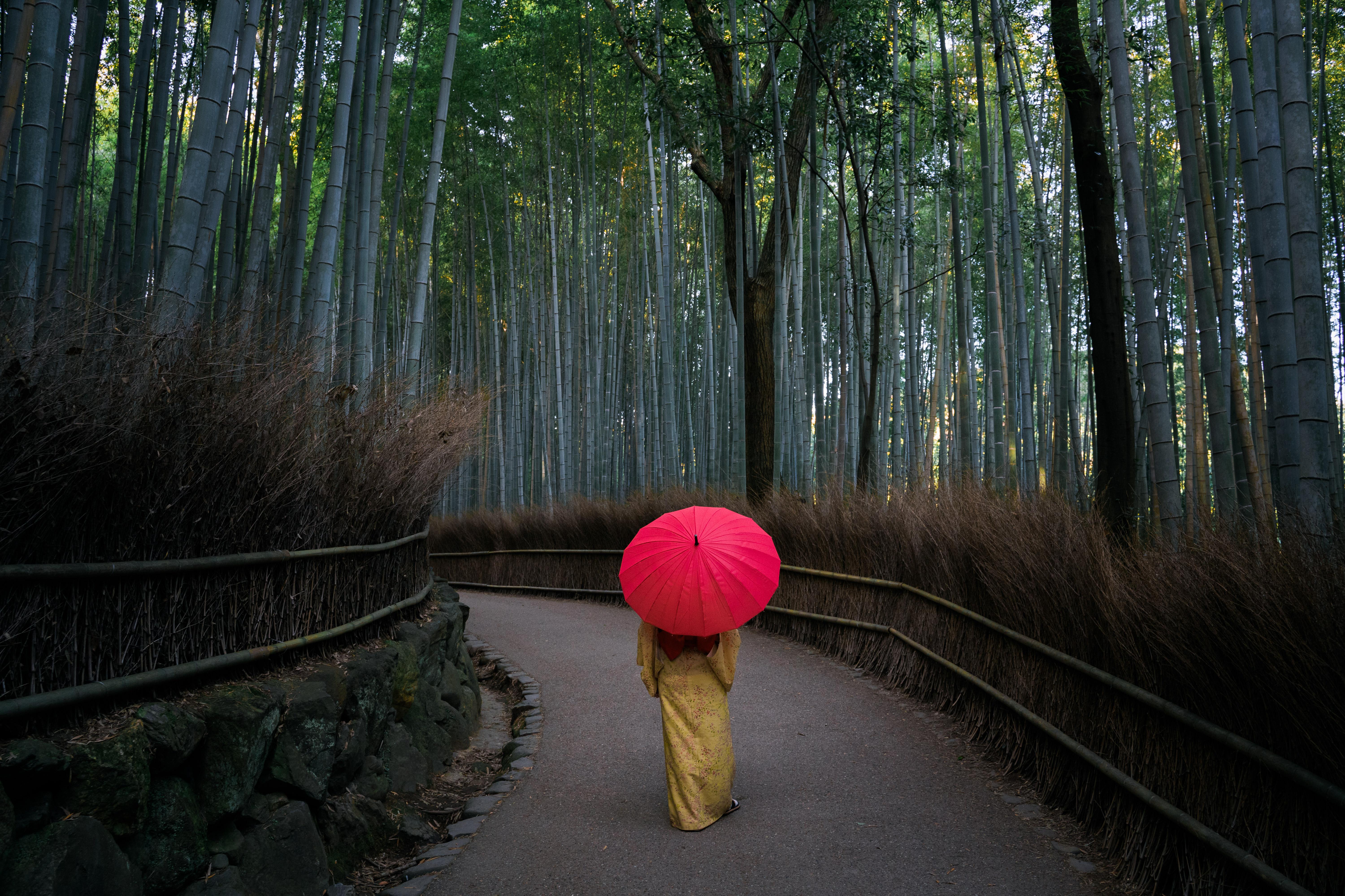 Arashiyama Wallpapers