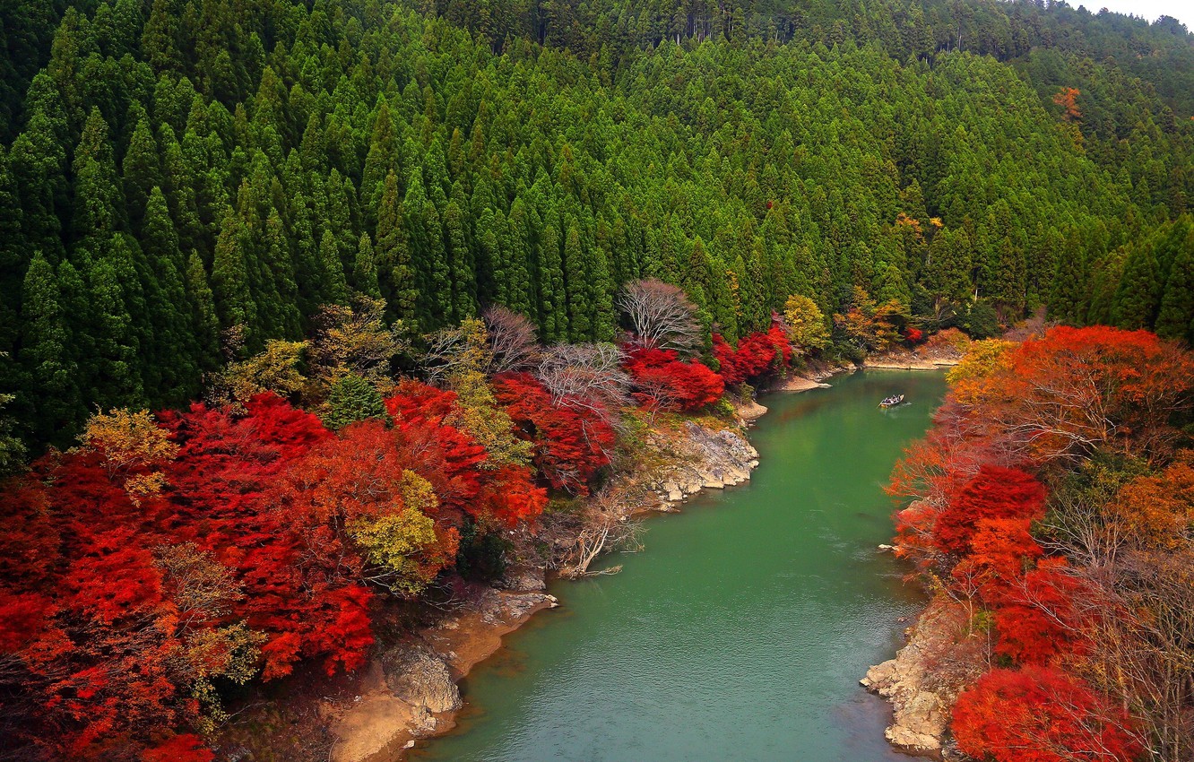 Arashiyama Wallpapers