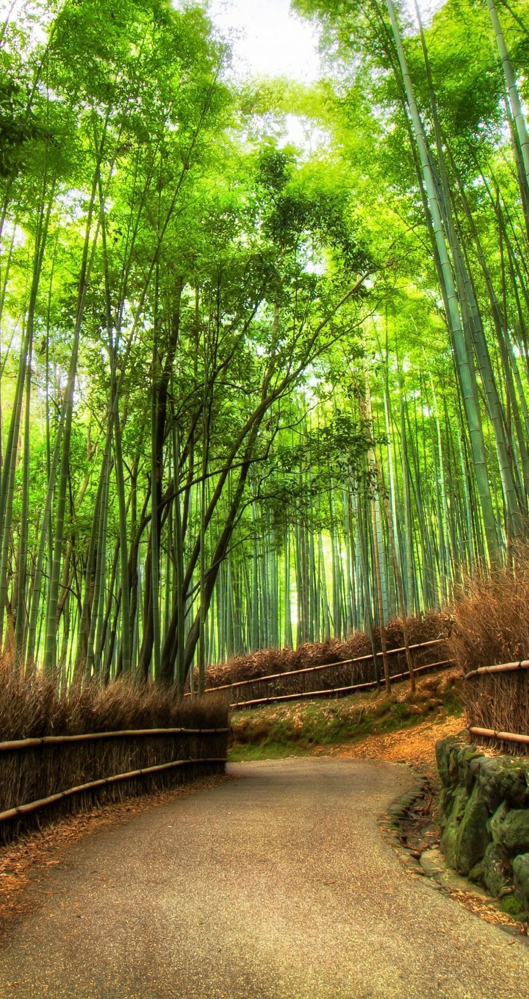 Arashiyama Wallpapers