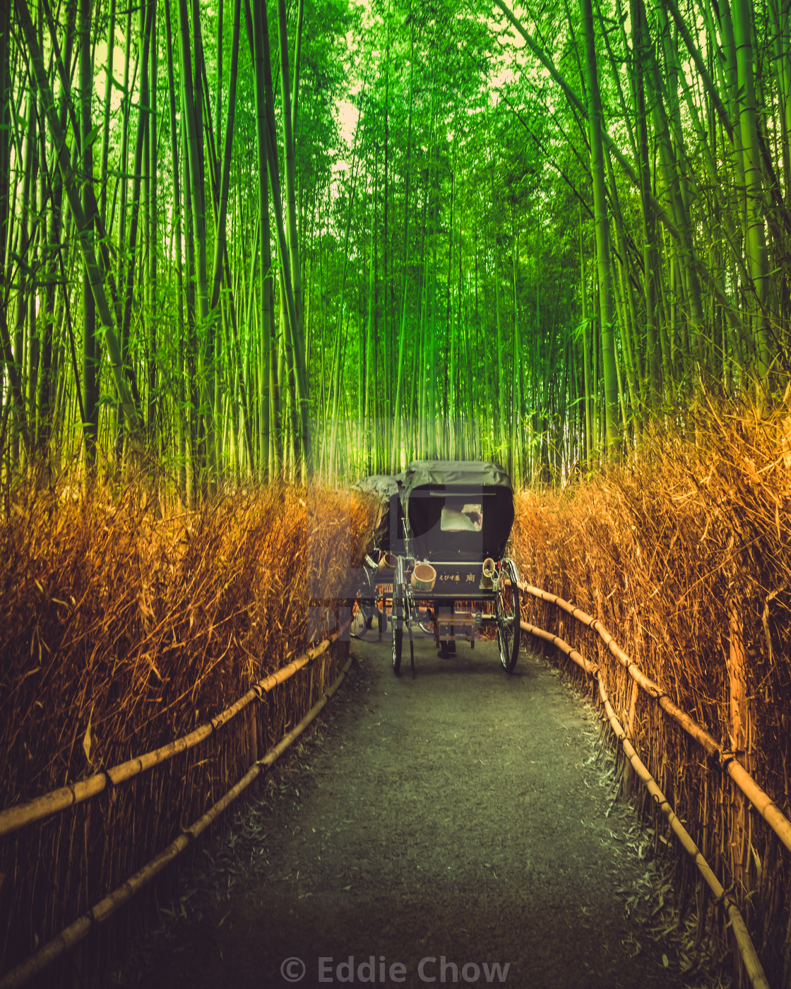 Arashiyama Wallpapers