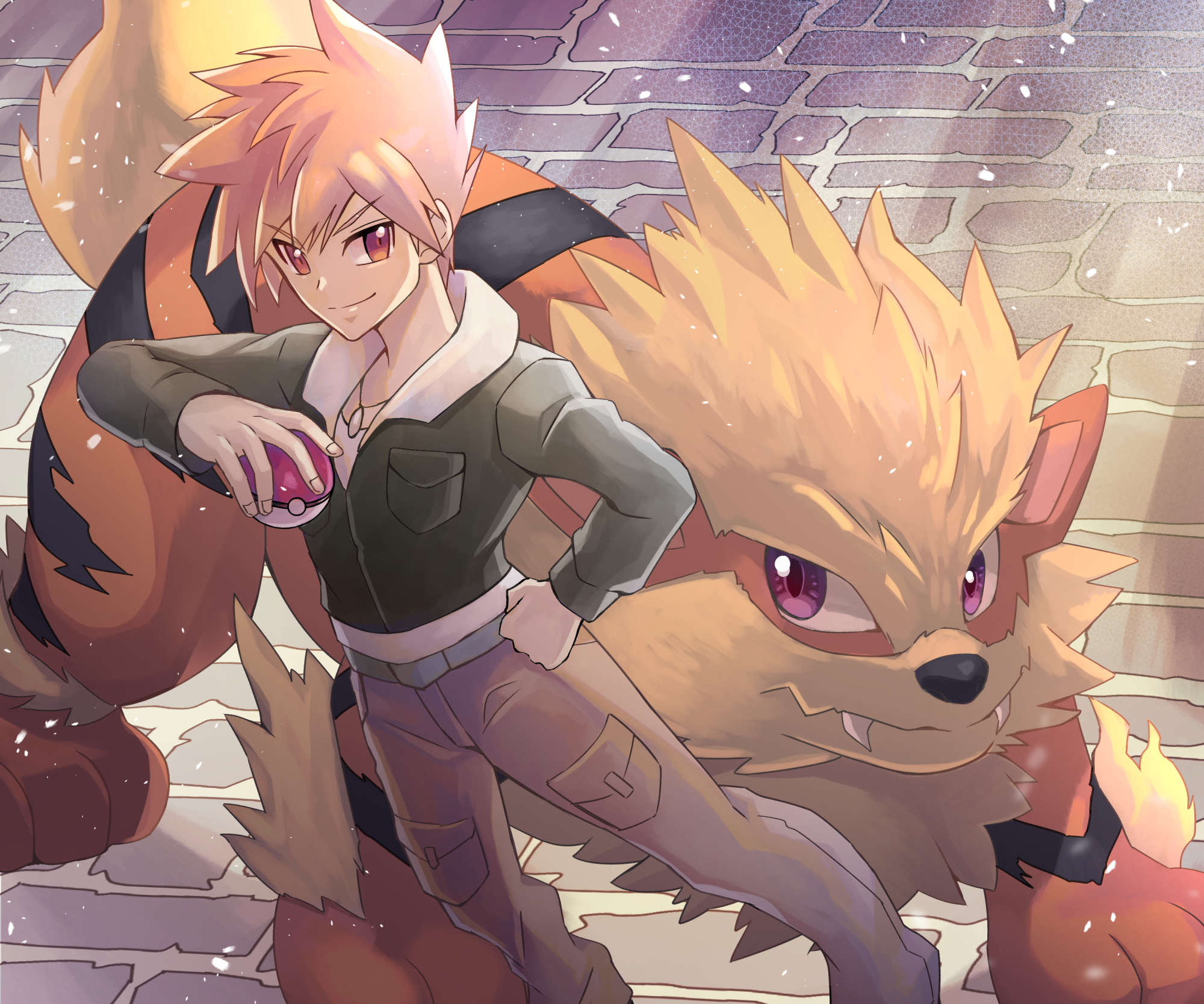 Arcanine Background