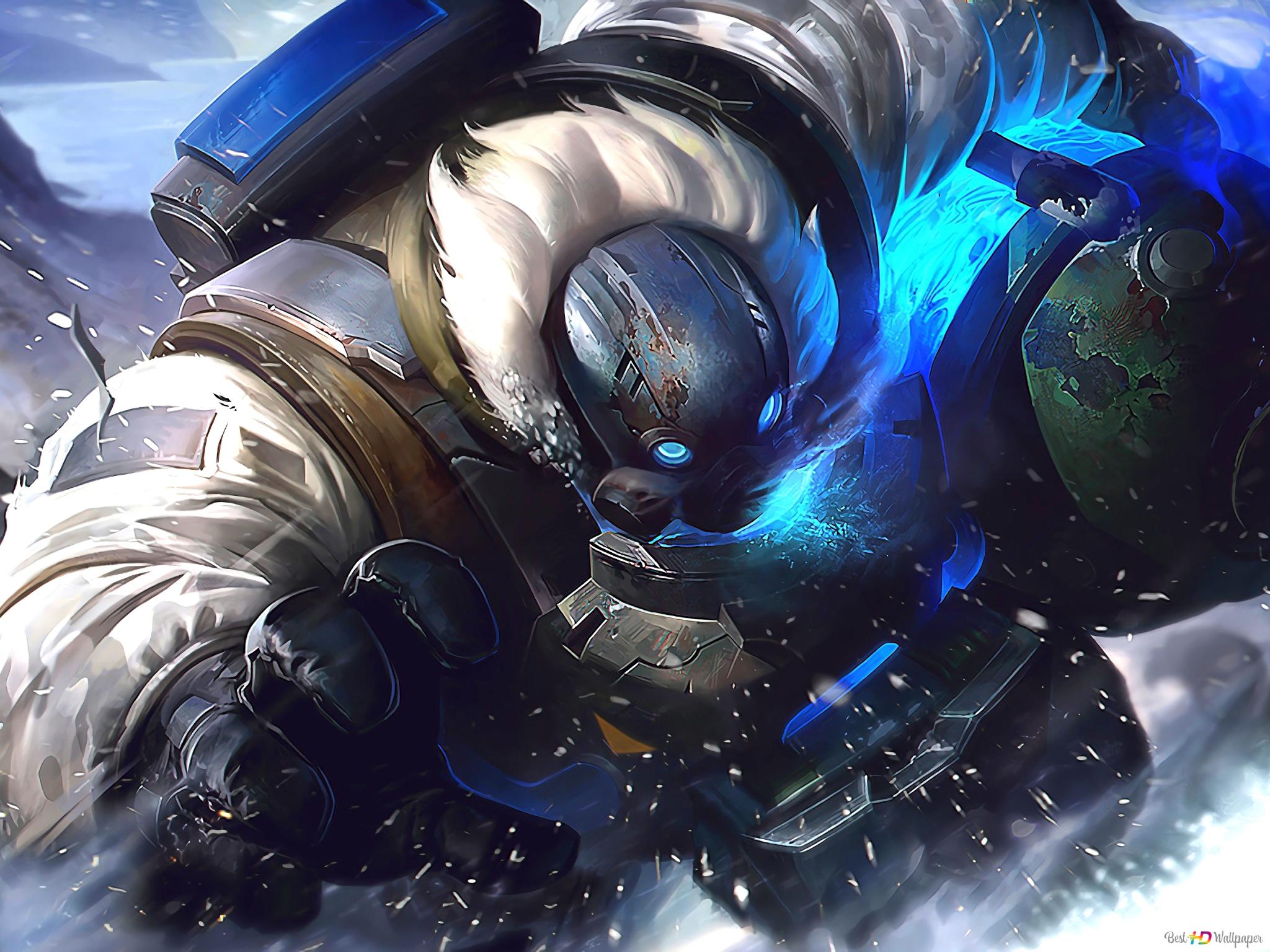 Arctic Assassin Wallpapers