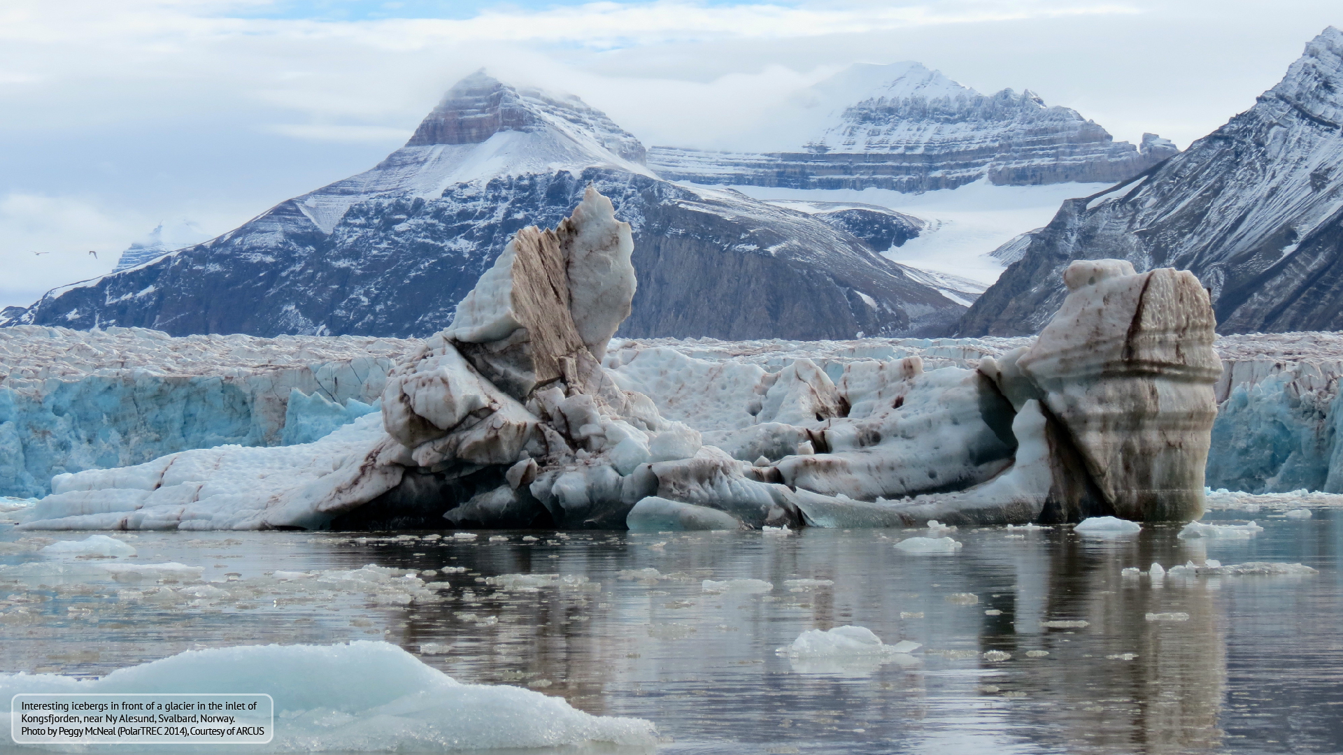 Arctic Backgrounds