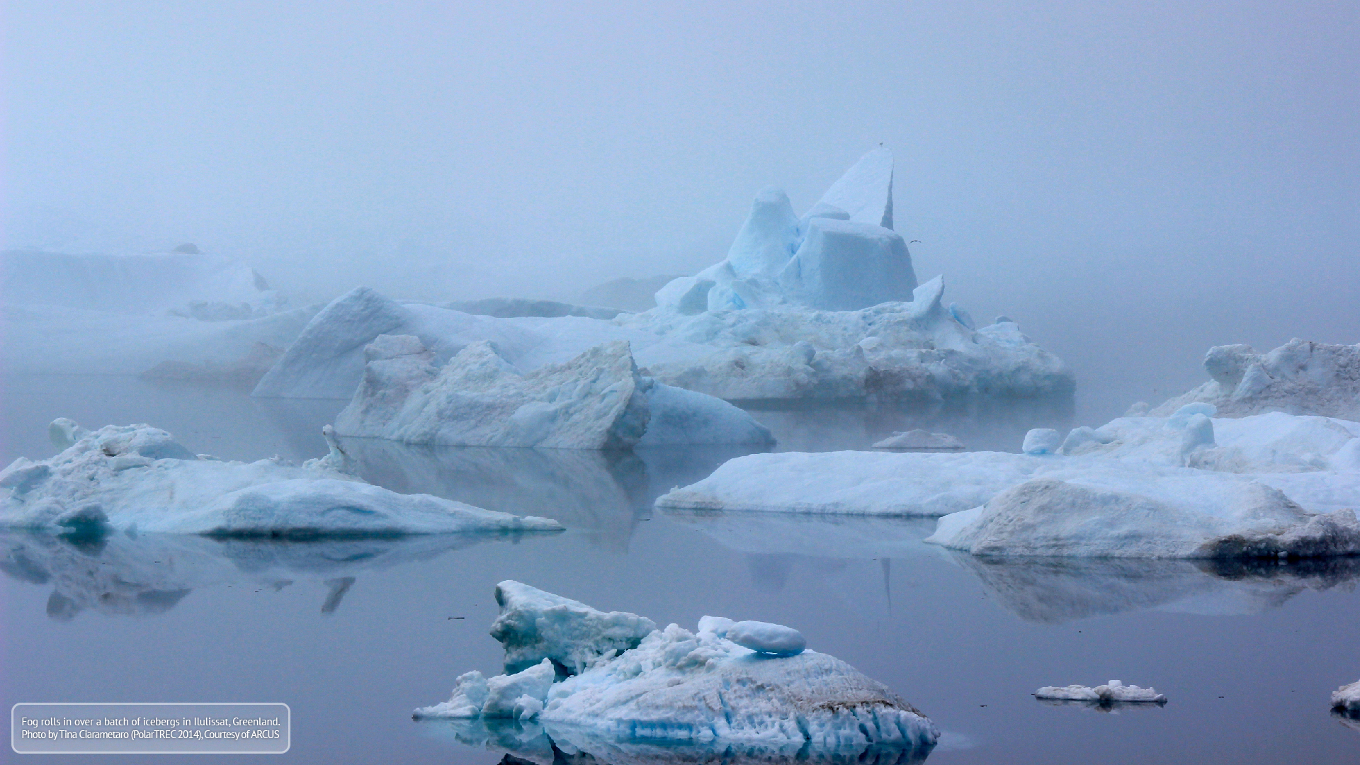 Arctic Backgrounds