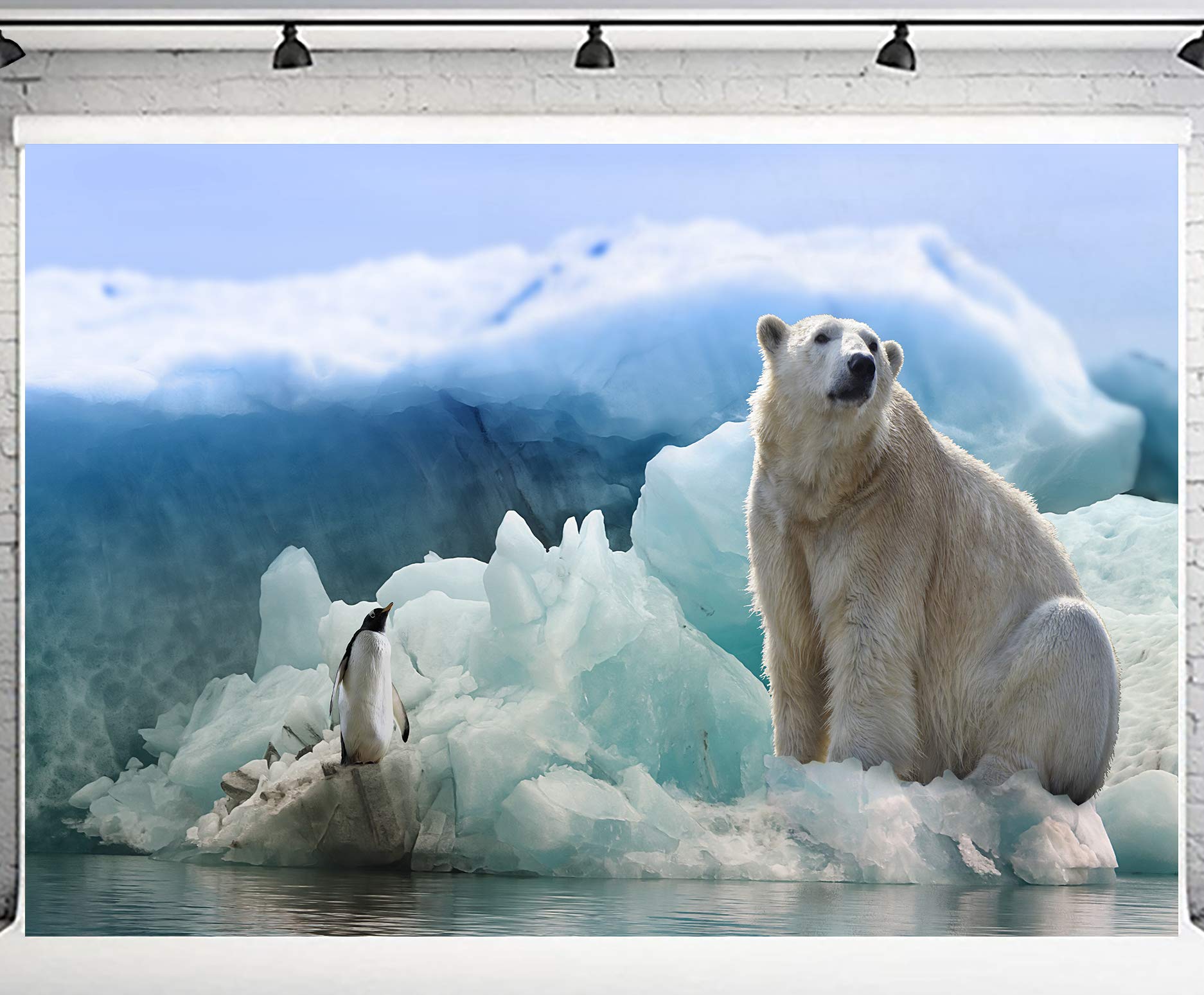 Arctic Backgrounds