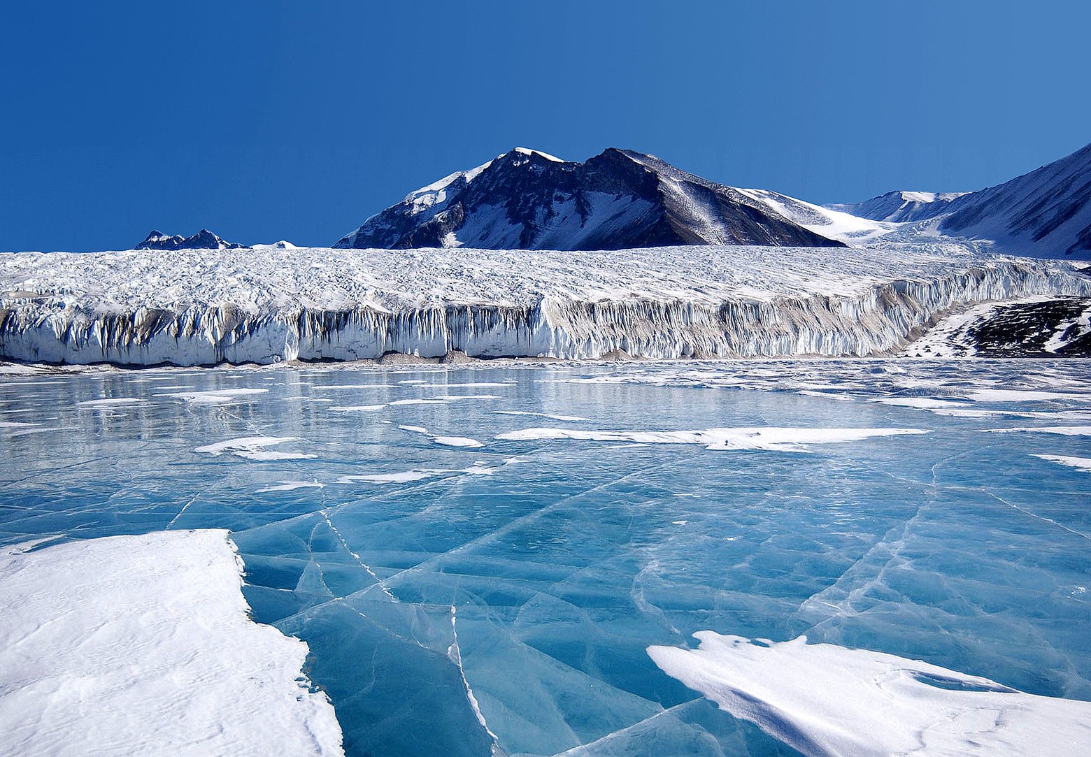 Arctic Backgrounds