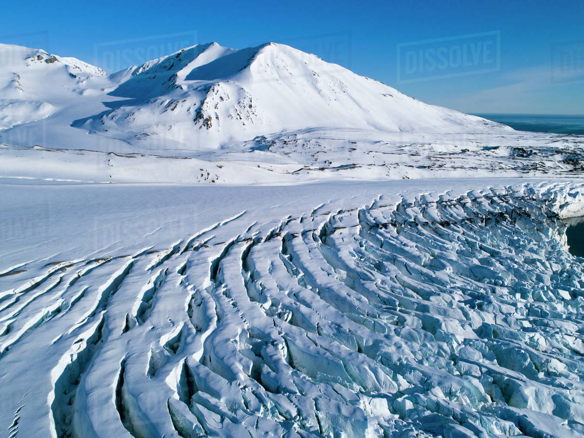 Arctic Backgrounds