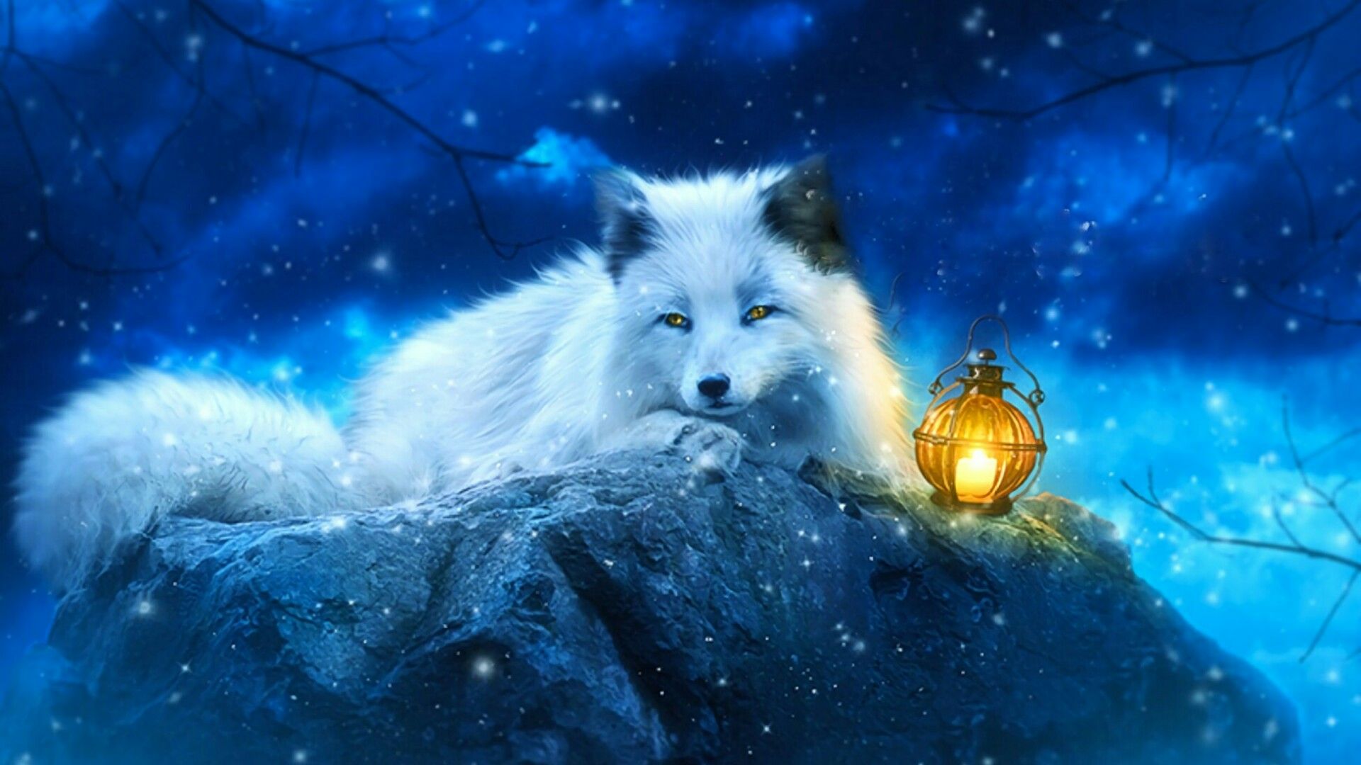 Arctic Fox Wallpapers