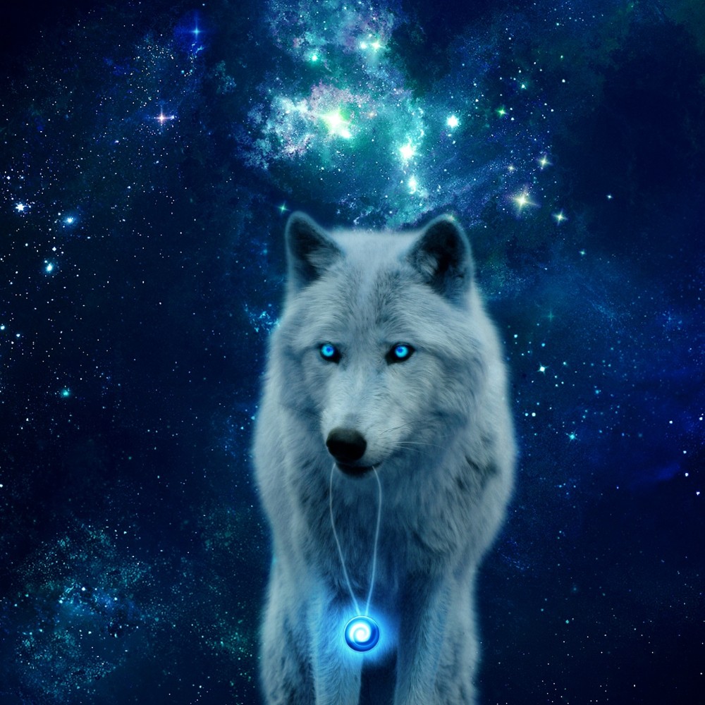 Arctic Wolf Background