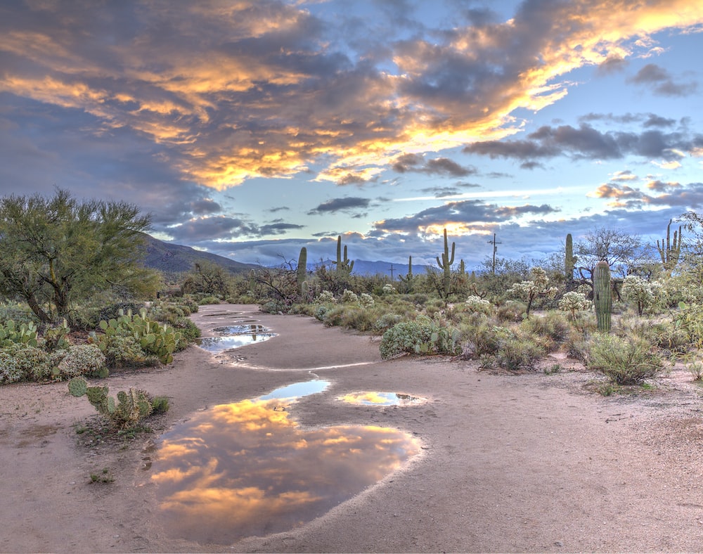 Arizona Desert Wallpapers