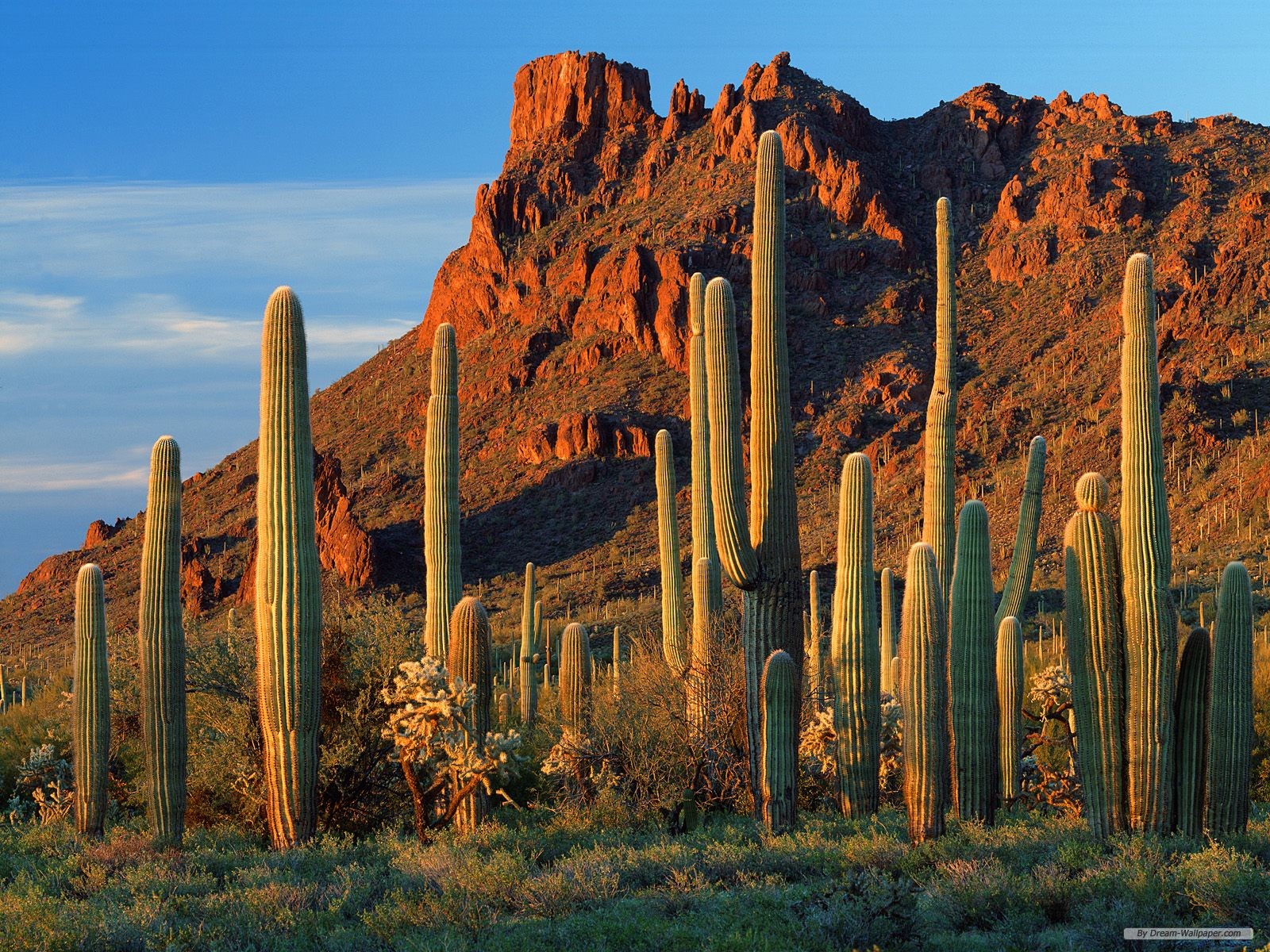 Arizona Desert Wallpapers