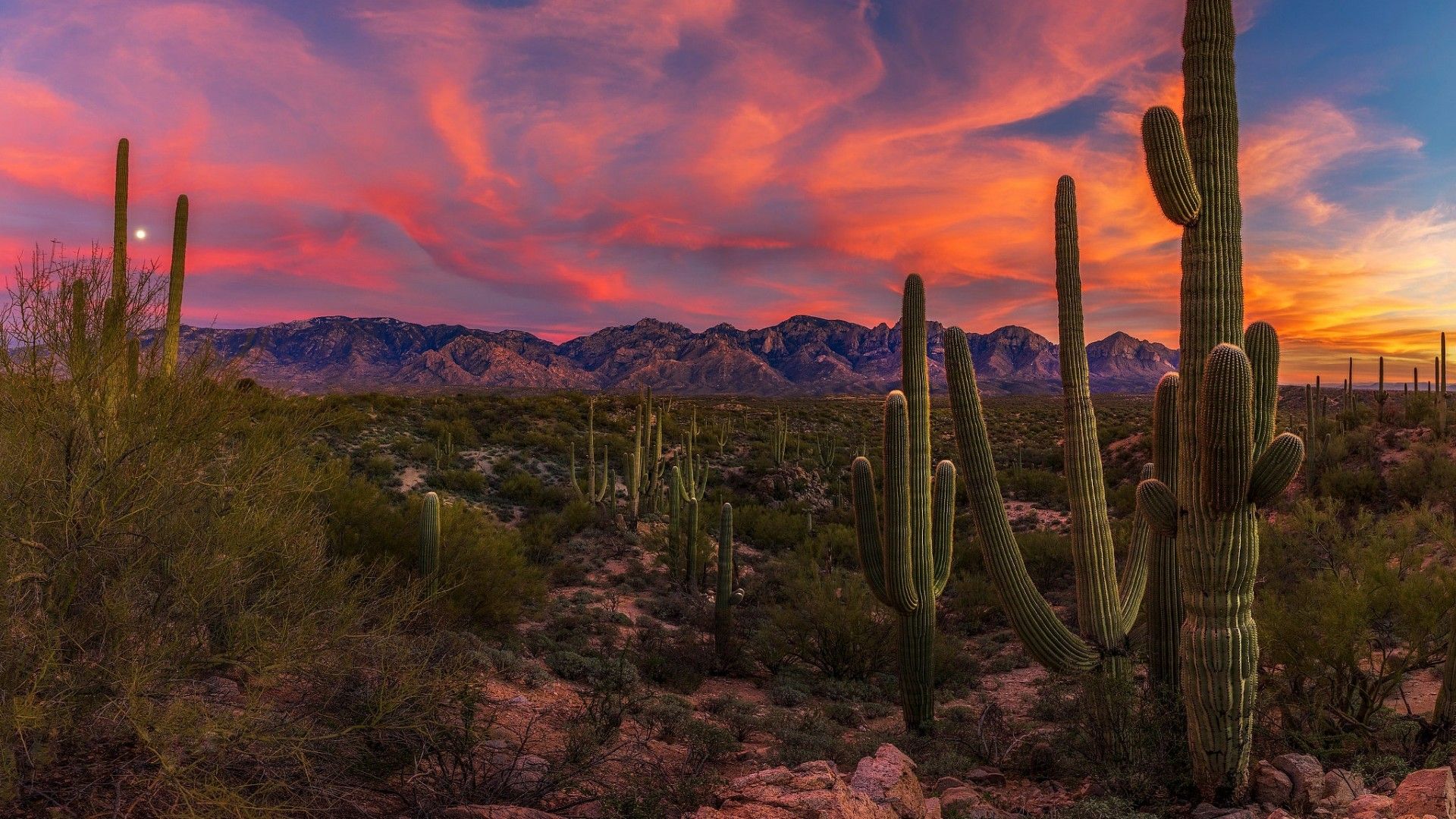 Arizona Hd Wallpapers