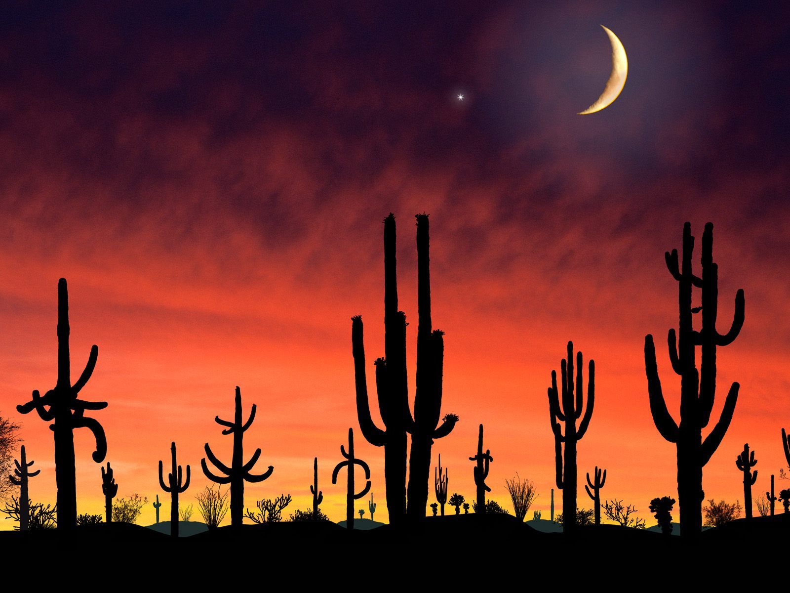 Arizona Hd Wallpapers