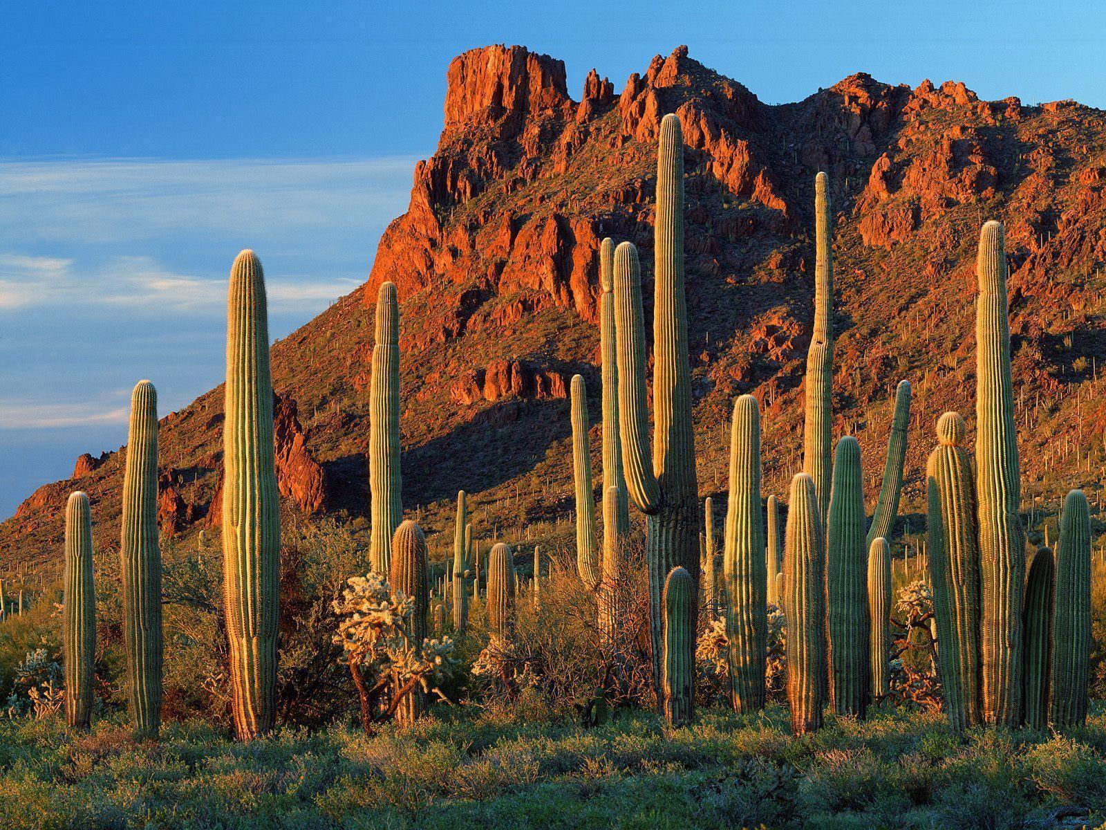 Arizona Hd Wallpapers