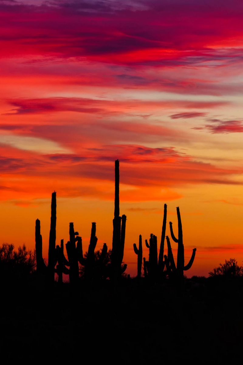 Arizona Sunset Wallpapers