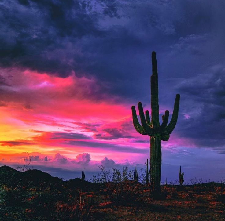 Arizona Sunset Wallpapers