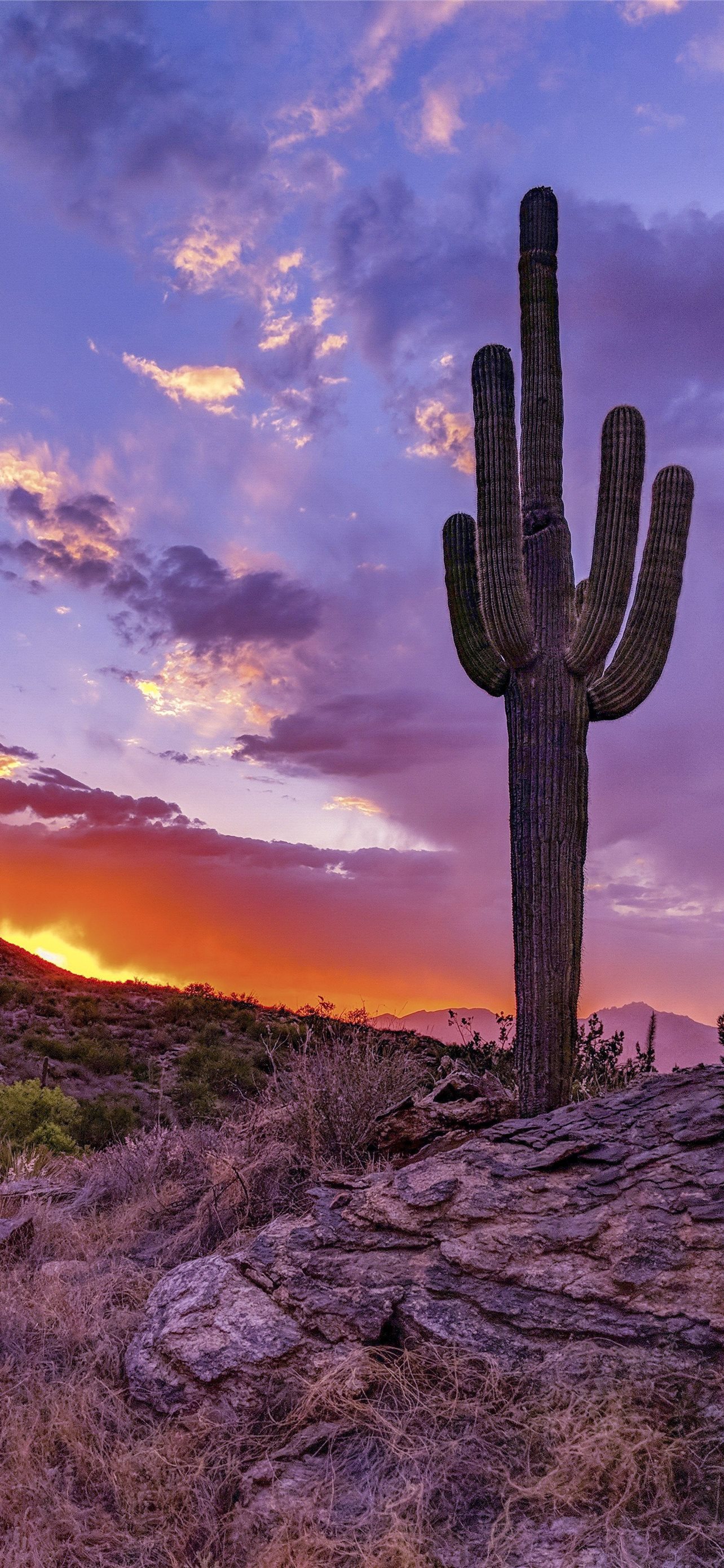 Arizona Wallpapers