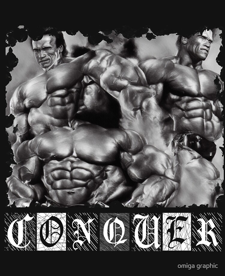 Arnold Schwarzenegger Conquer Wallpapers