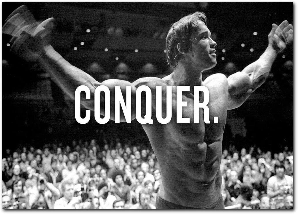 Arnold Schwarzenegger Conquer Wallpapers