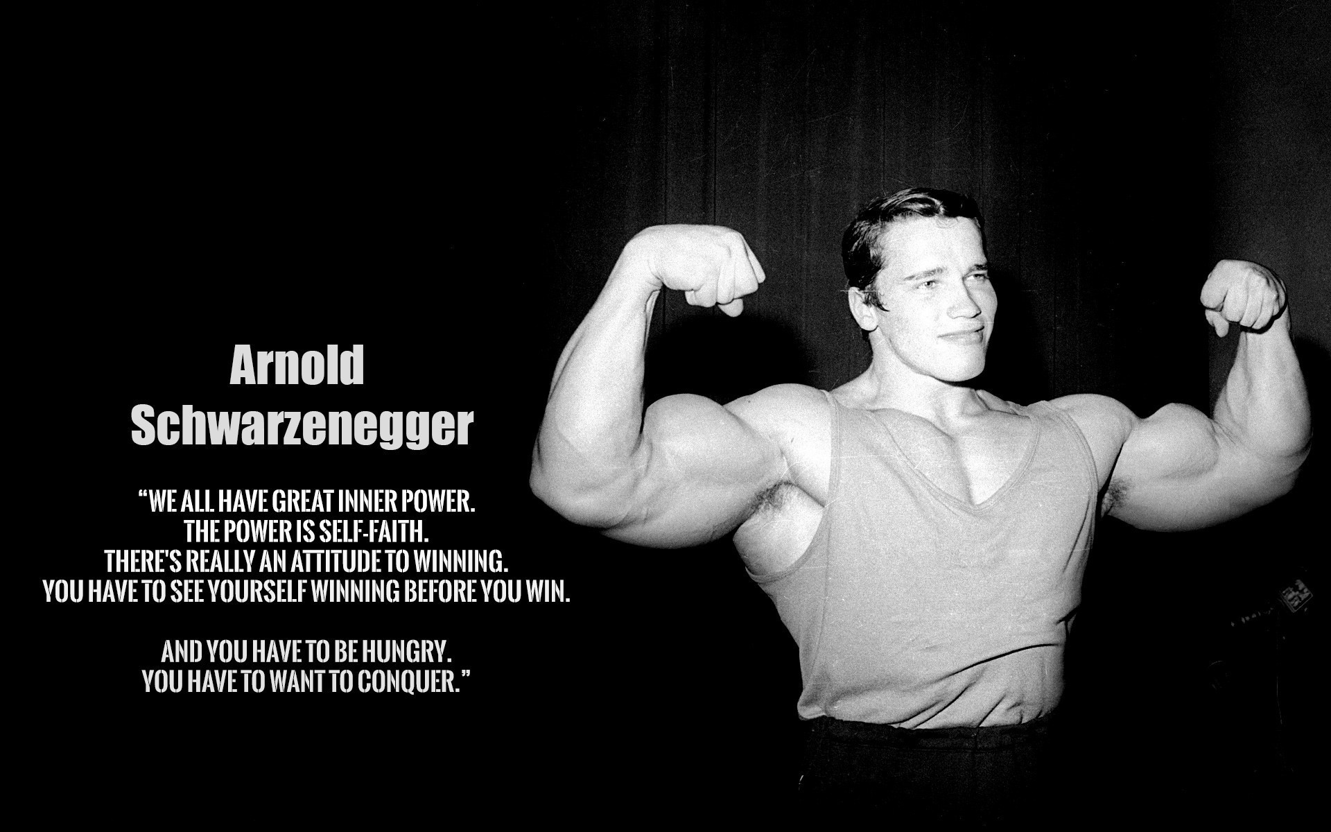 Arnold Schwarzenegger Conquer Wallpapers