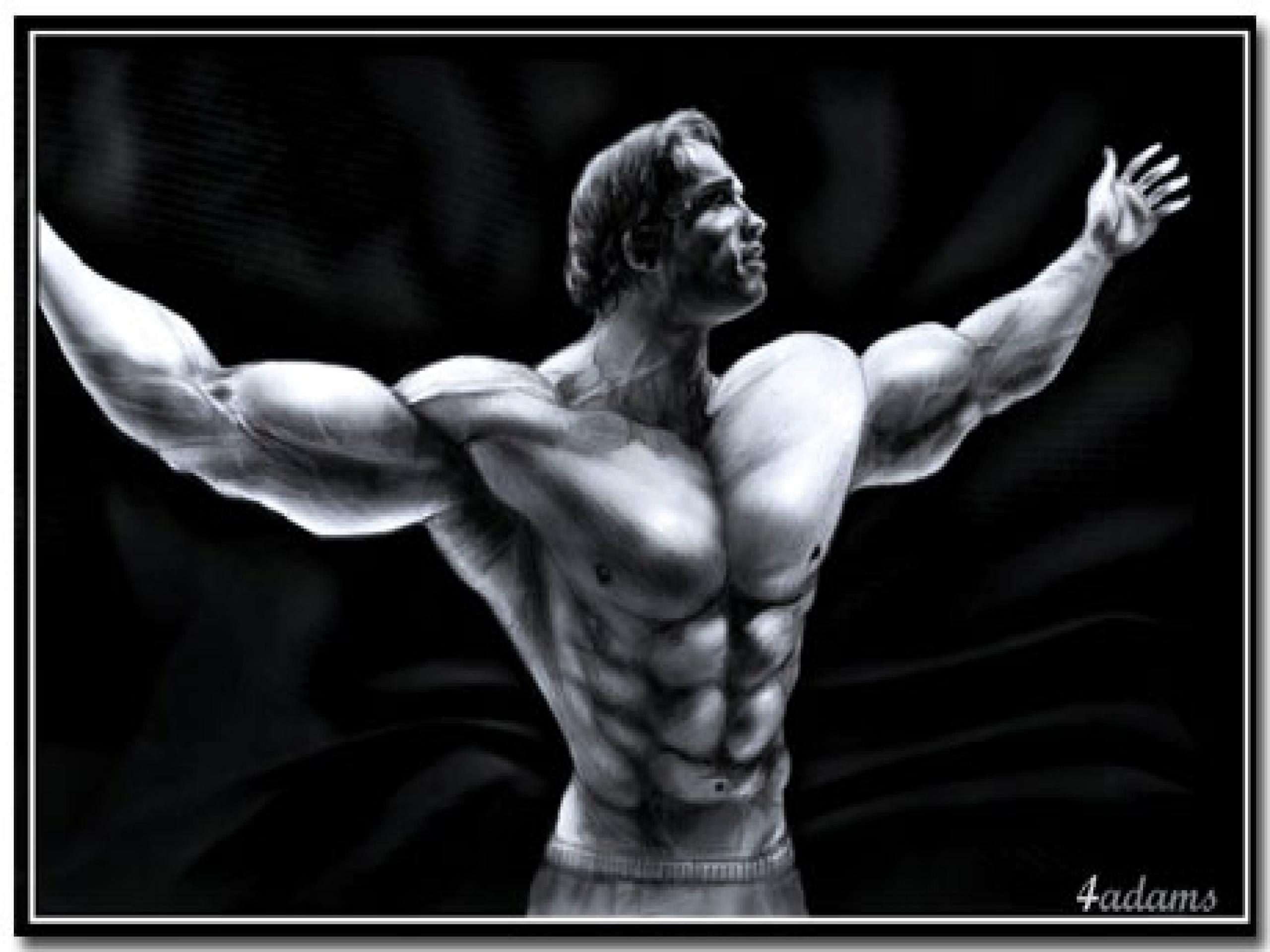 Arnold Schwarzenegger Conquer Wallpapers