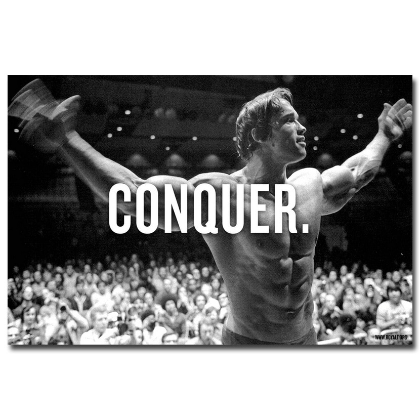 Arnold Schwarzenegger Conquer Wallpapers