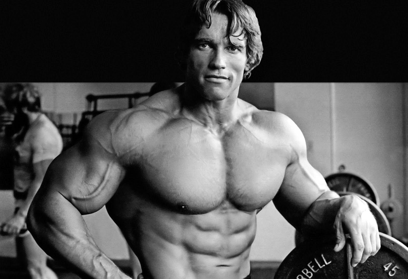 Arnold Schwarzenegger Conquer Wallpapers