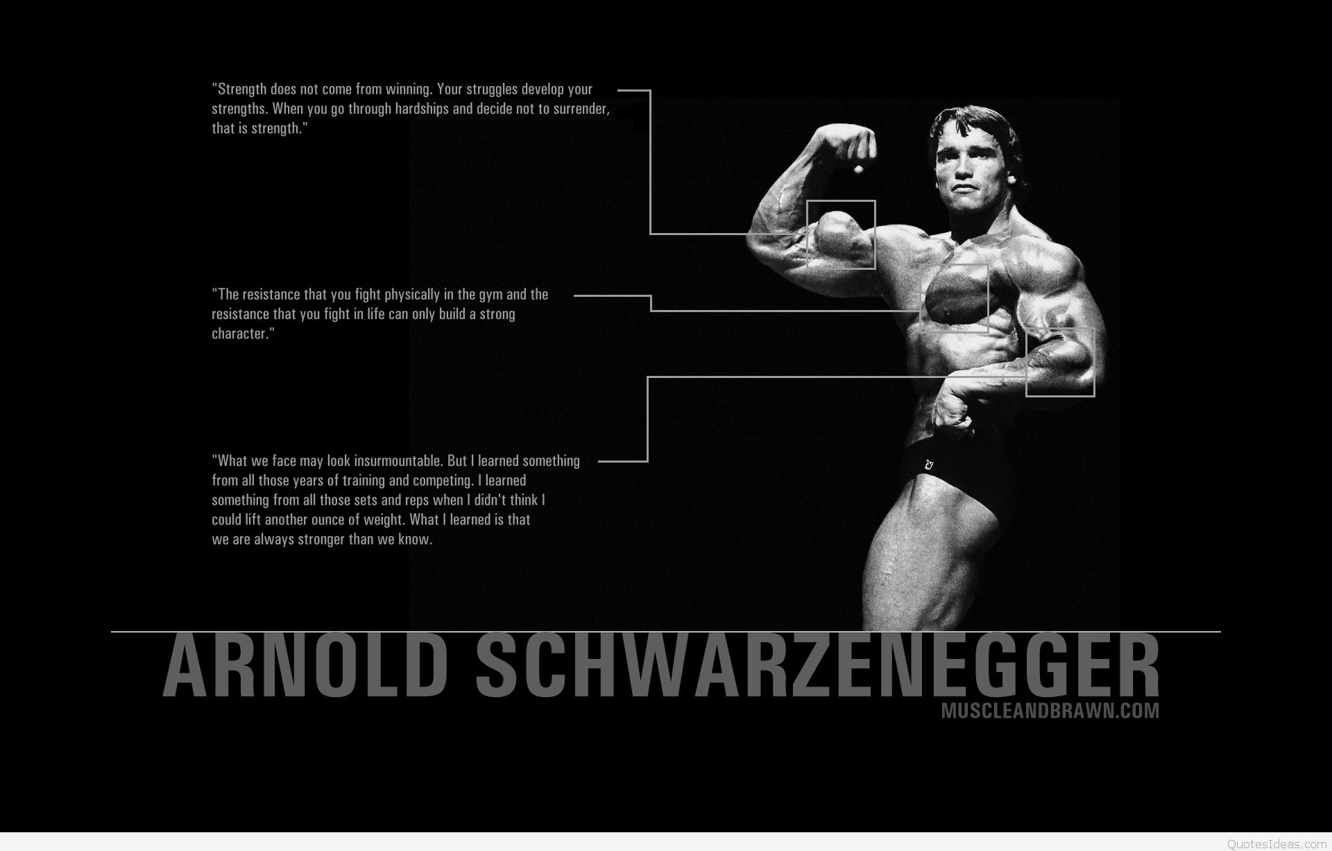 Arnold Schwarzenegger Conquer Wallpapers