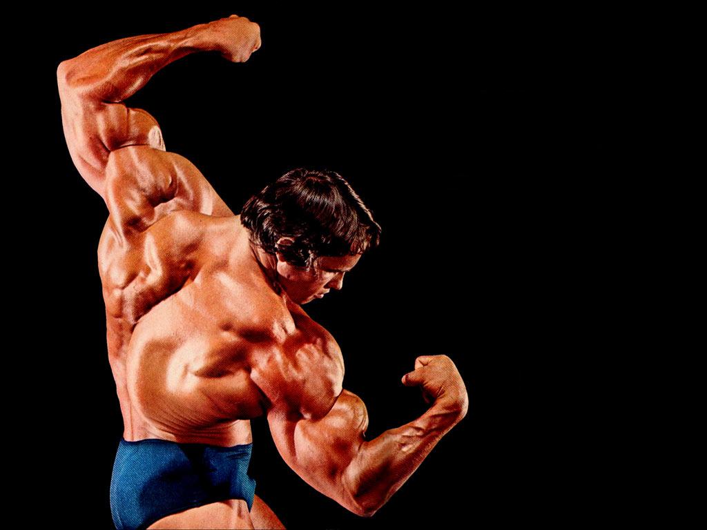 Arnold Schwarzenegger Iphone Wallpapers