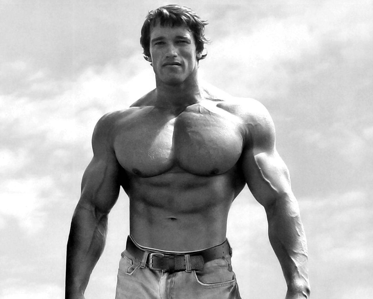 Arnold Schwarzenegger Iphone Wallpapers