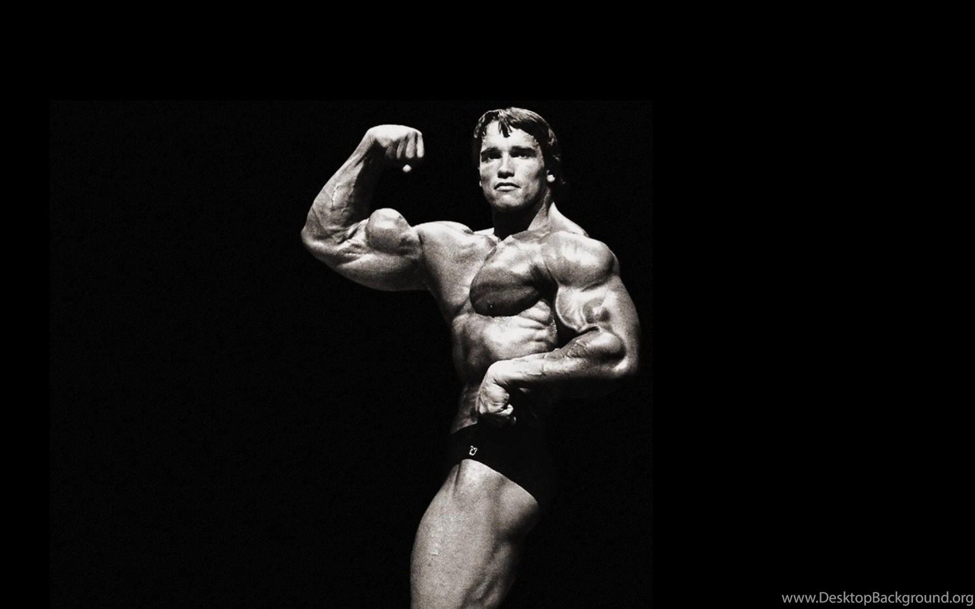 Arnold Schwarzenegger Wallpapers