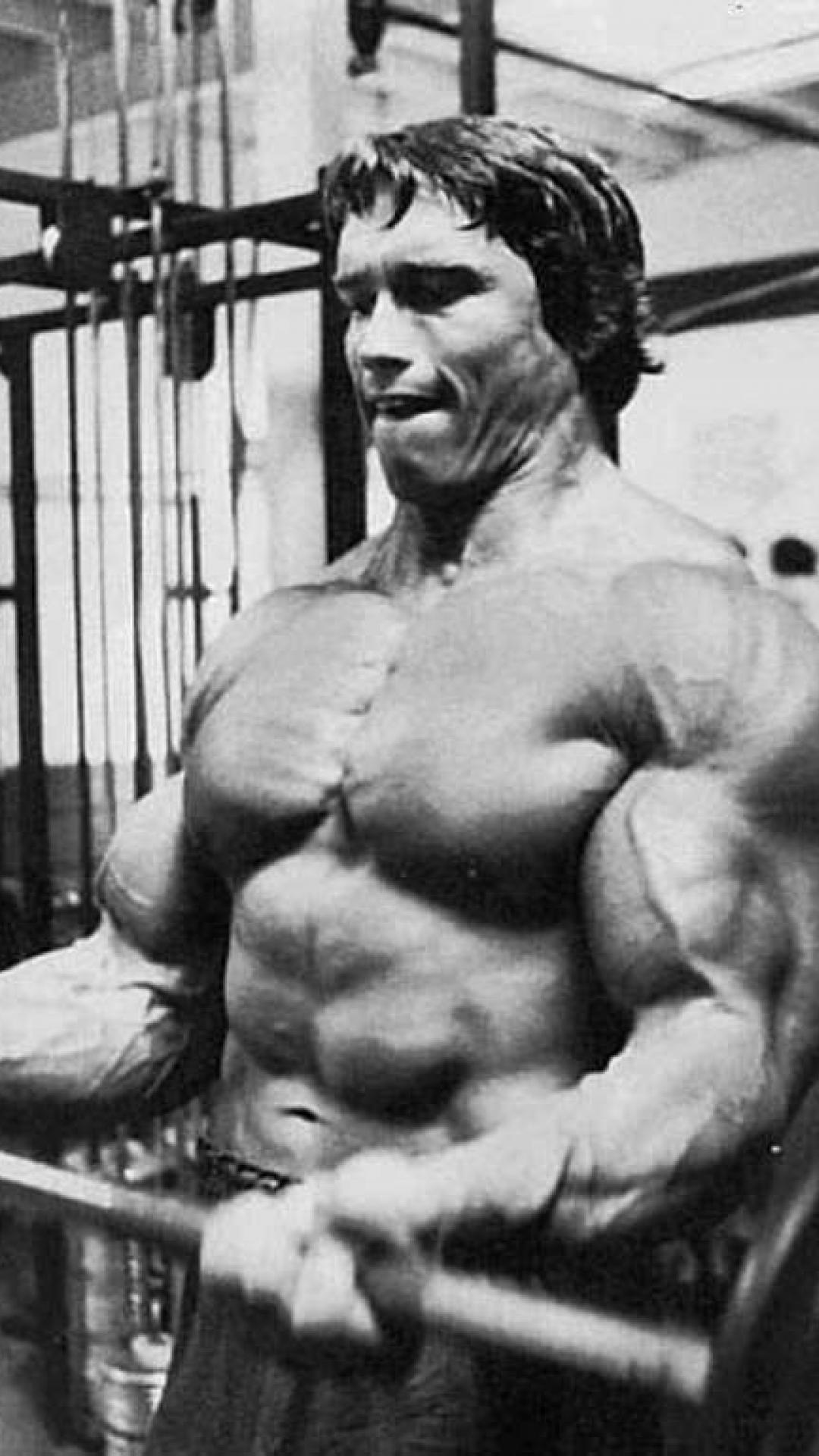 Arnold Schwarzenegger Wallpapers