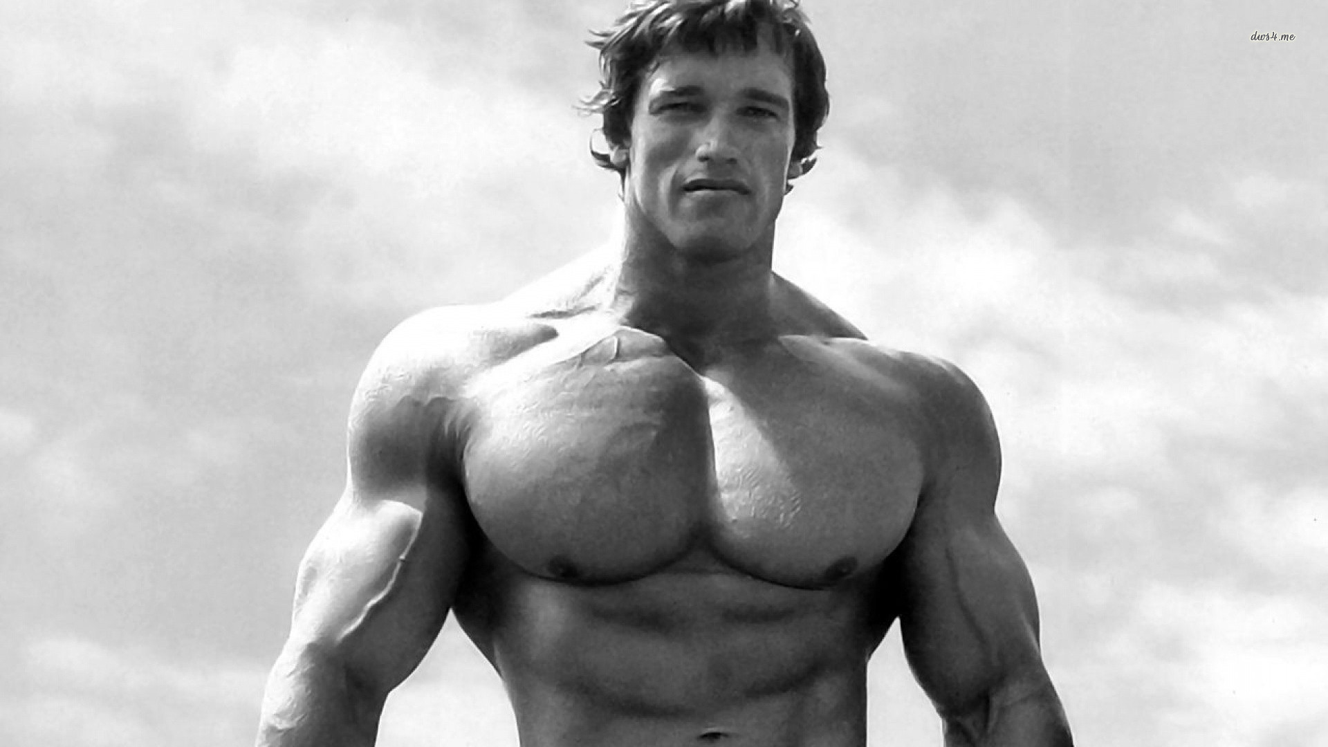 Arnold Schwarzenegger Wallpapers