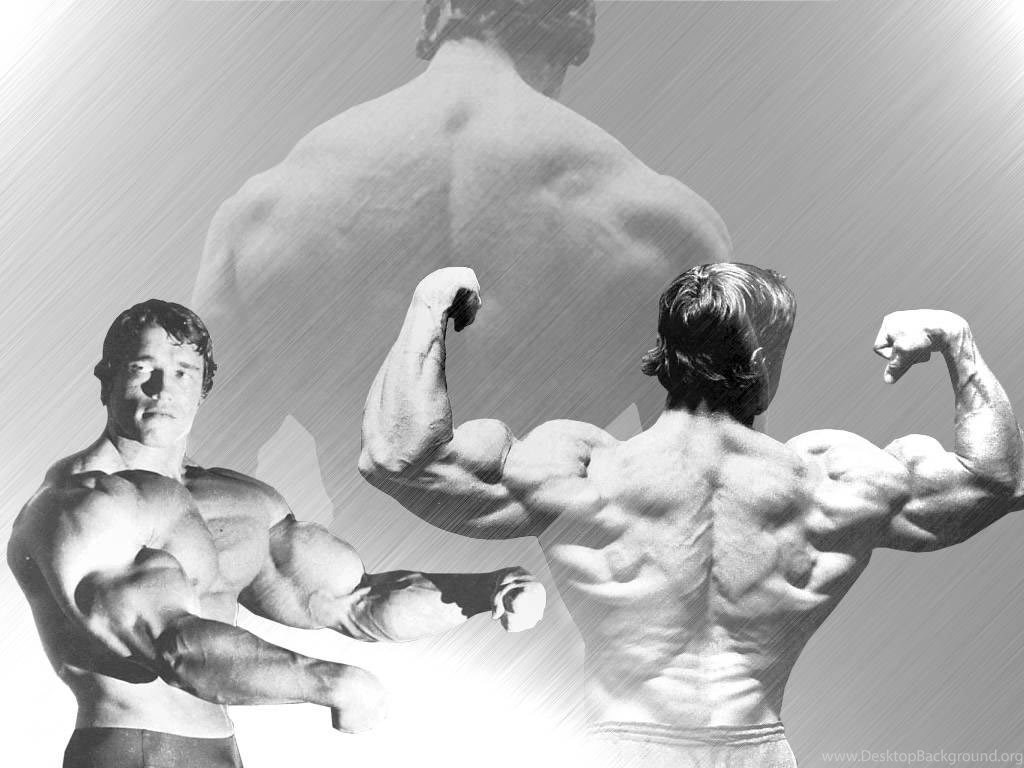 Arnold Schwarzenegger Wallpapers