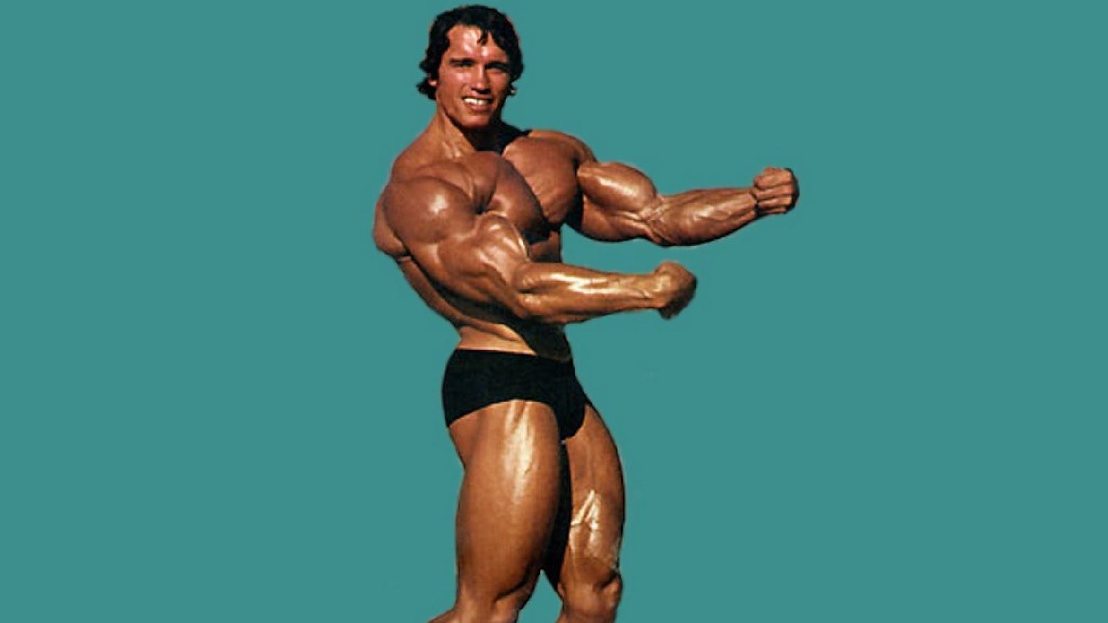 Arnold Schwarzenegger Wallpapers