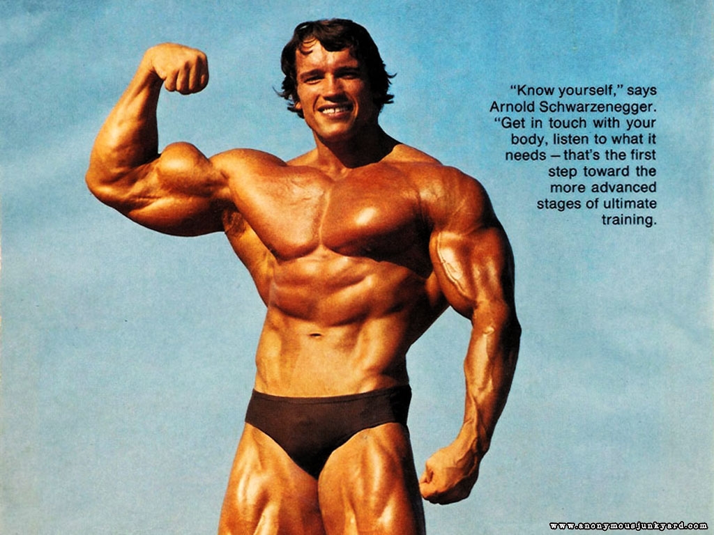 Arnold Schwarzenegger Wallpapers