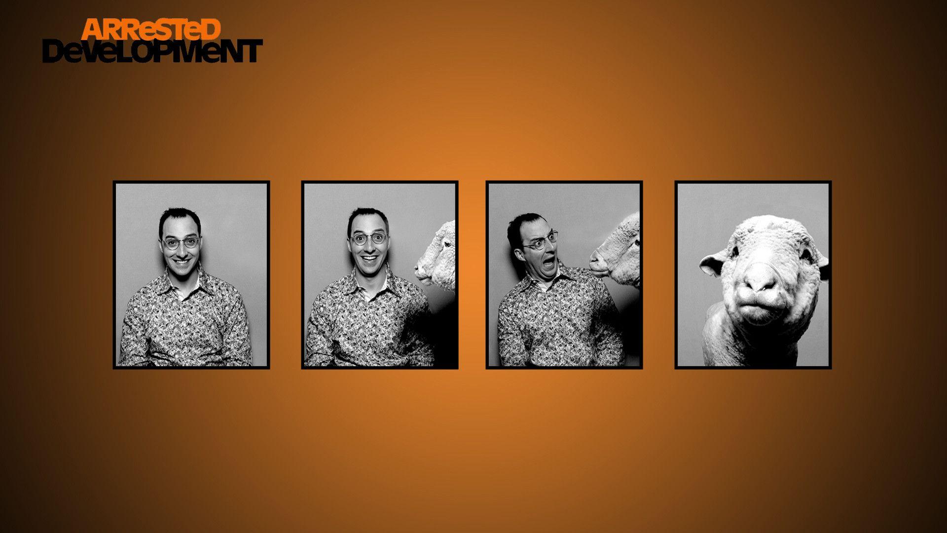 Arrested Development Wallpapers