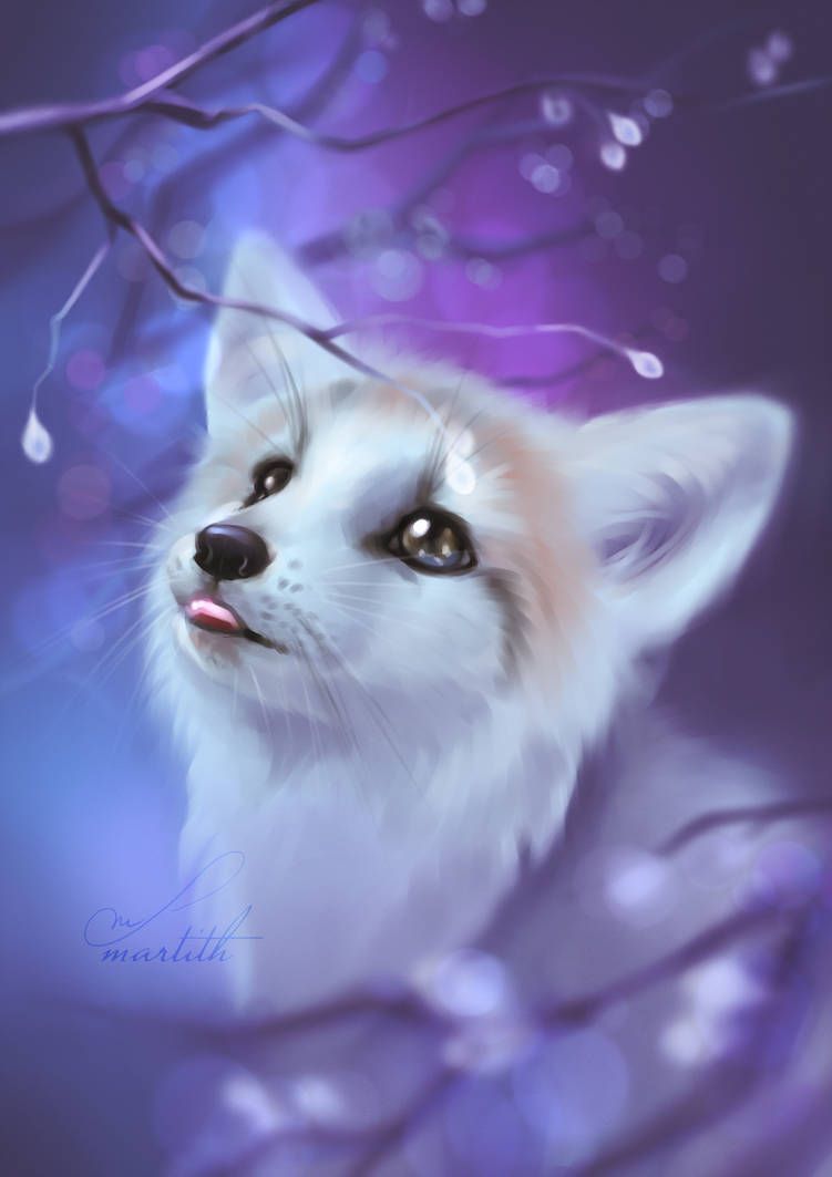 Art Arctic Fox Wallpapers