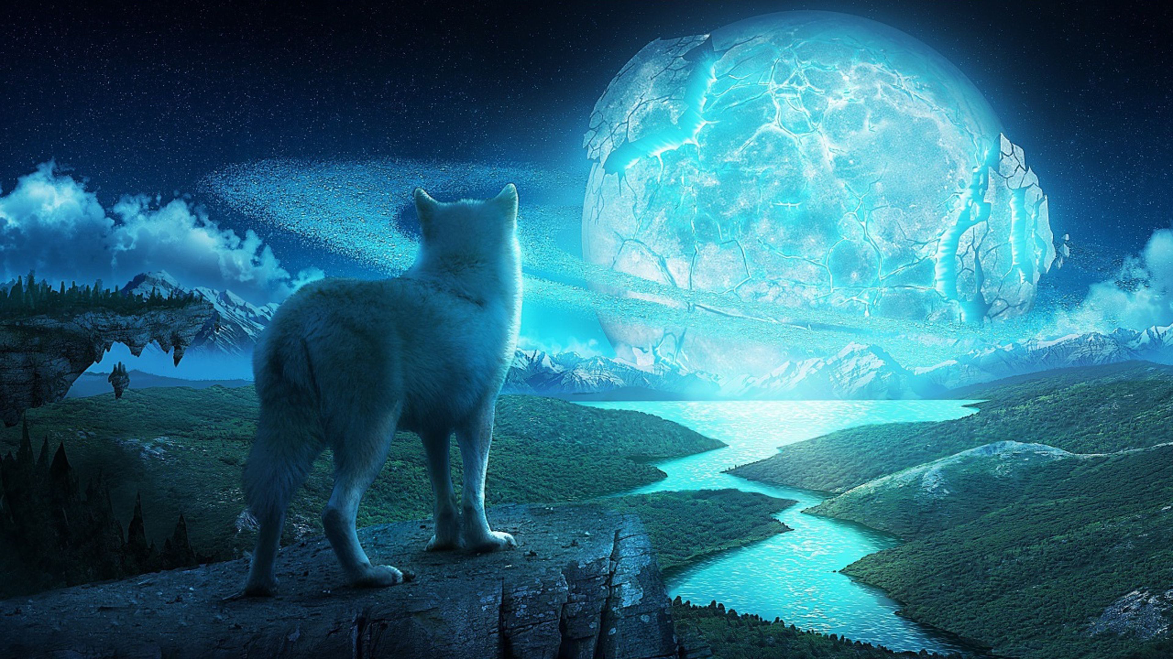 Art Arctic Fox Wallpapers